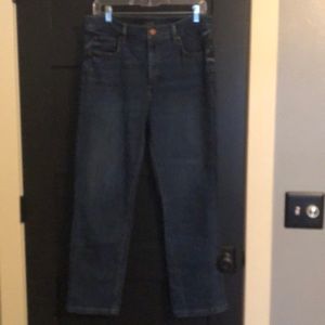 Ann Taylor High Rise Straight Jeans Size 10
